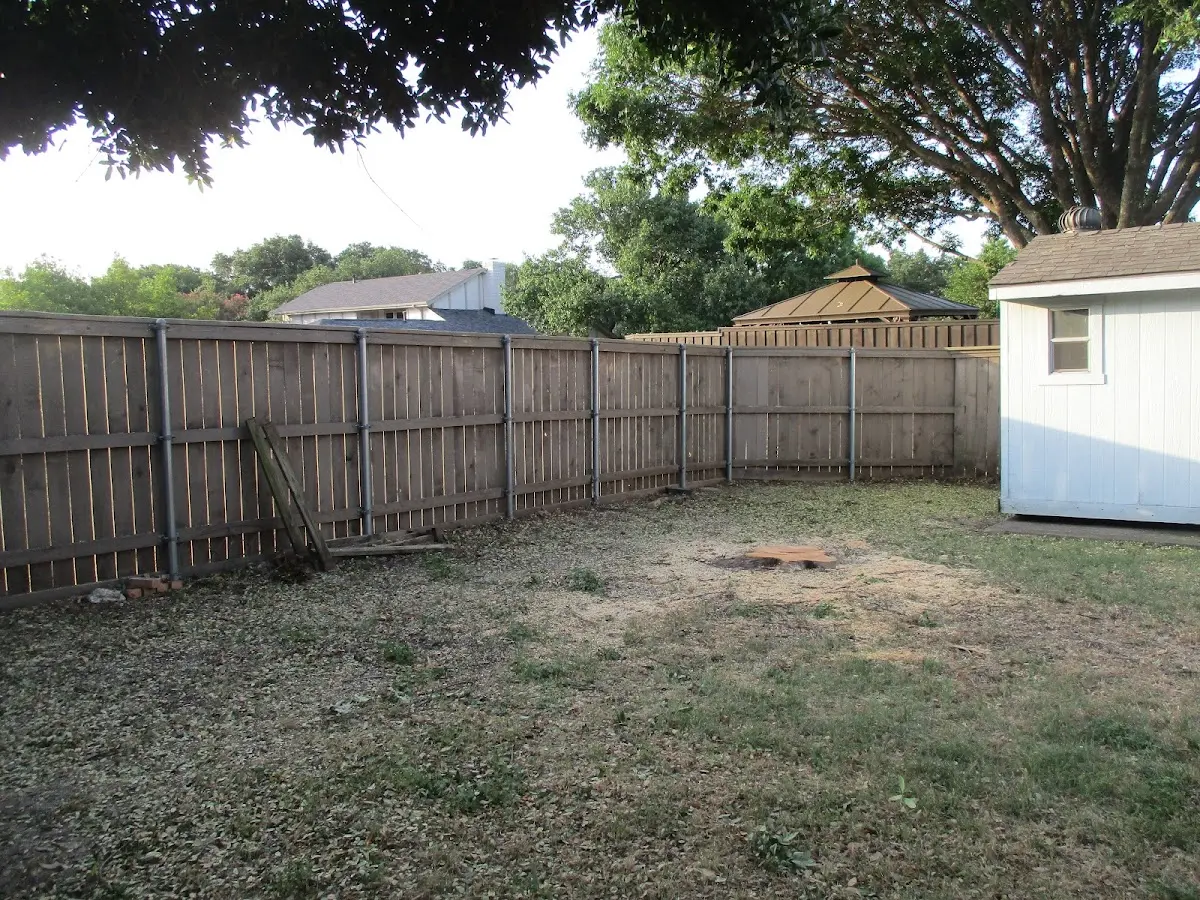 Cleared yard after professional tree removal in Arapahoe